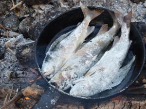 Paano magluto ng grayling sa isang hindi pangkaraniwang paraan - mga recipe mula sa mga tunay na mangingisda Paano magluto ng grayling na isda