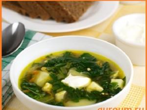 Recipe with photo: Nettle soup with meat dumplings