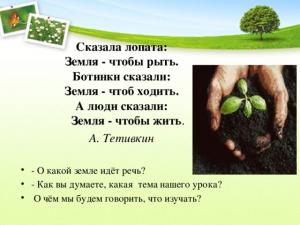 The role of plants and animals in soil formation, presentation for a biology lesson (grade 5) on the topic